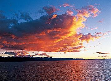 2023年夏季游戏节参展公司名单 Xbox、PlayStation等